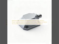 Silnik przeciwwybuchowy, uszczelniona pokrywa czołowa, stopień ochrony IP66, pokrywa czołowa ze stali nierdzewnej, pyłoszczelne, wodoodporne akcesoria do silników, niestandardowe komponenty przeciwwybuchowe